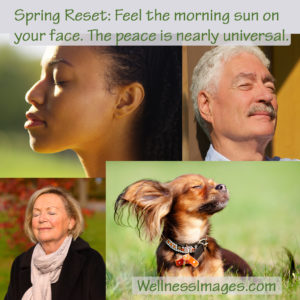Spring Reset: Feel the morning sun on your face.