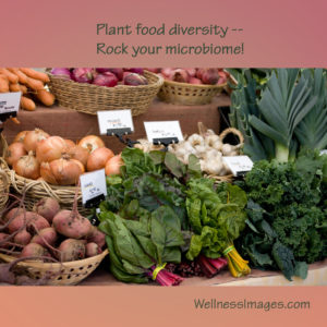 Support microbiome health with diverse plant foods
