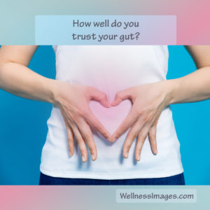 Learn to Trust Your Gut